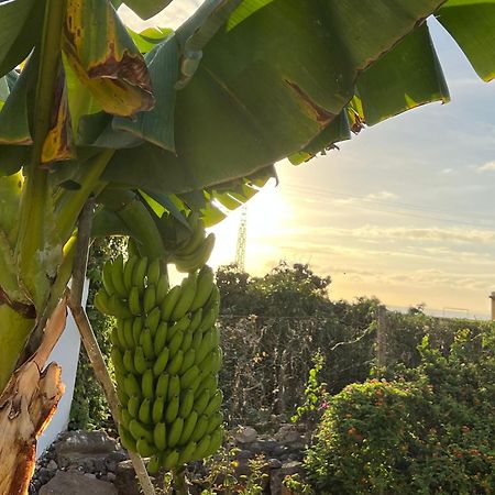 蓬达德尔伊达尔戈Un Paraiso En Tenerife别墅 外观 照片